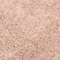 TERRACOTA